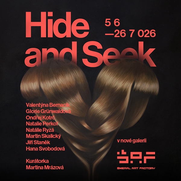Hide-and-Seek